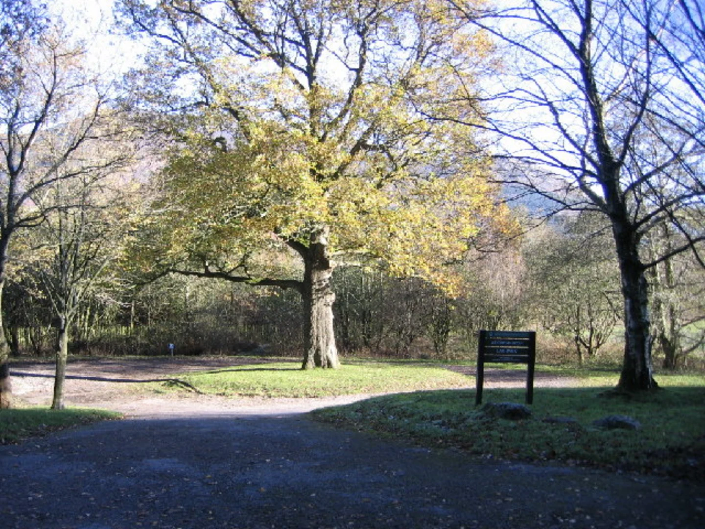 An image depicting the trail Hursthole Point, Wythop Woods and Peel Wyke Loop and its surrounding area.