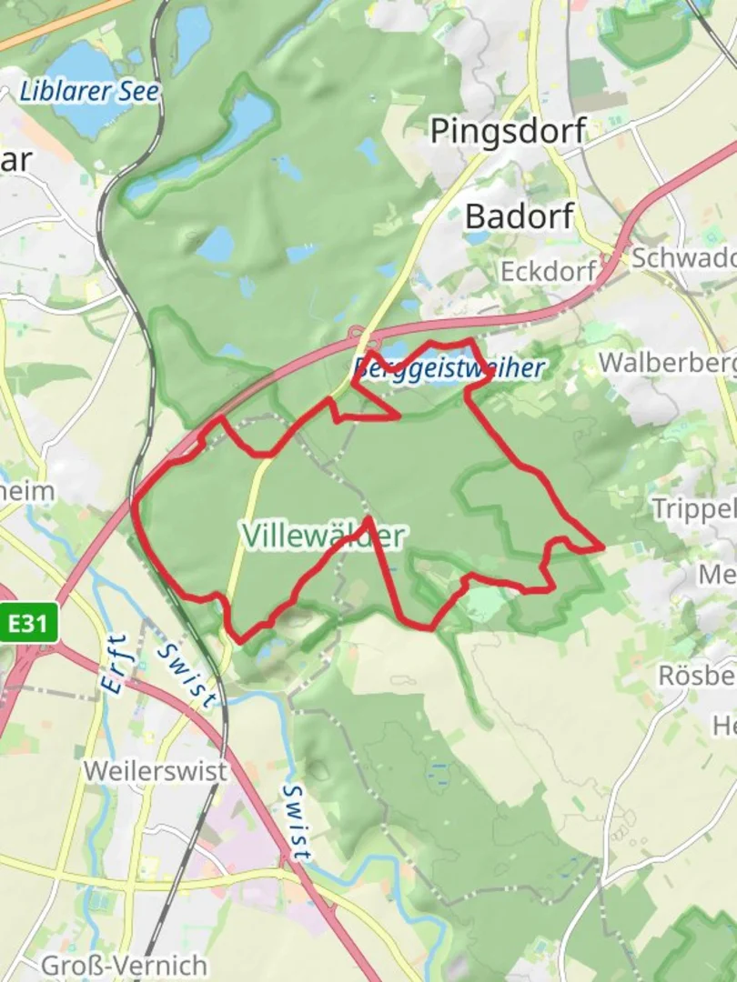 An image depicting the trail NSG Villewalder and Berggeistweiher Loop and its surrounding area.