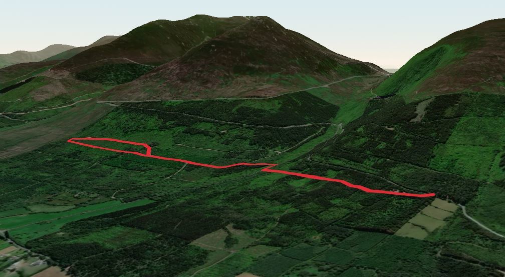 Kilballyboy Wood Walk