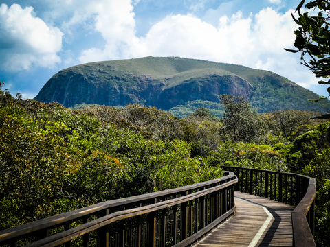 An image depicting the trail Mount Coolum Summit Walk and its surrounding area.