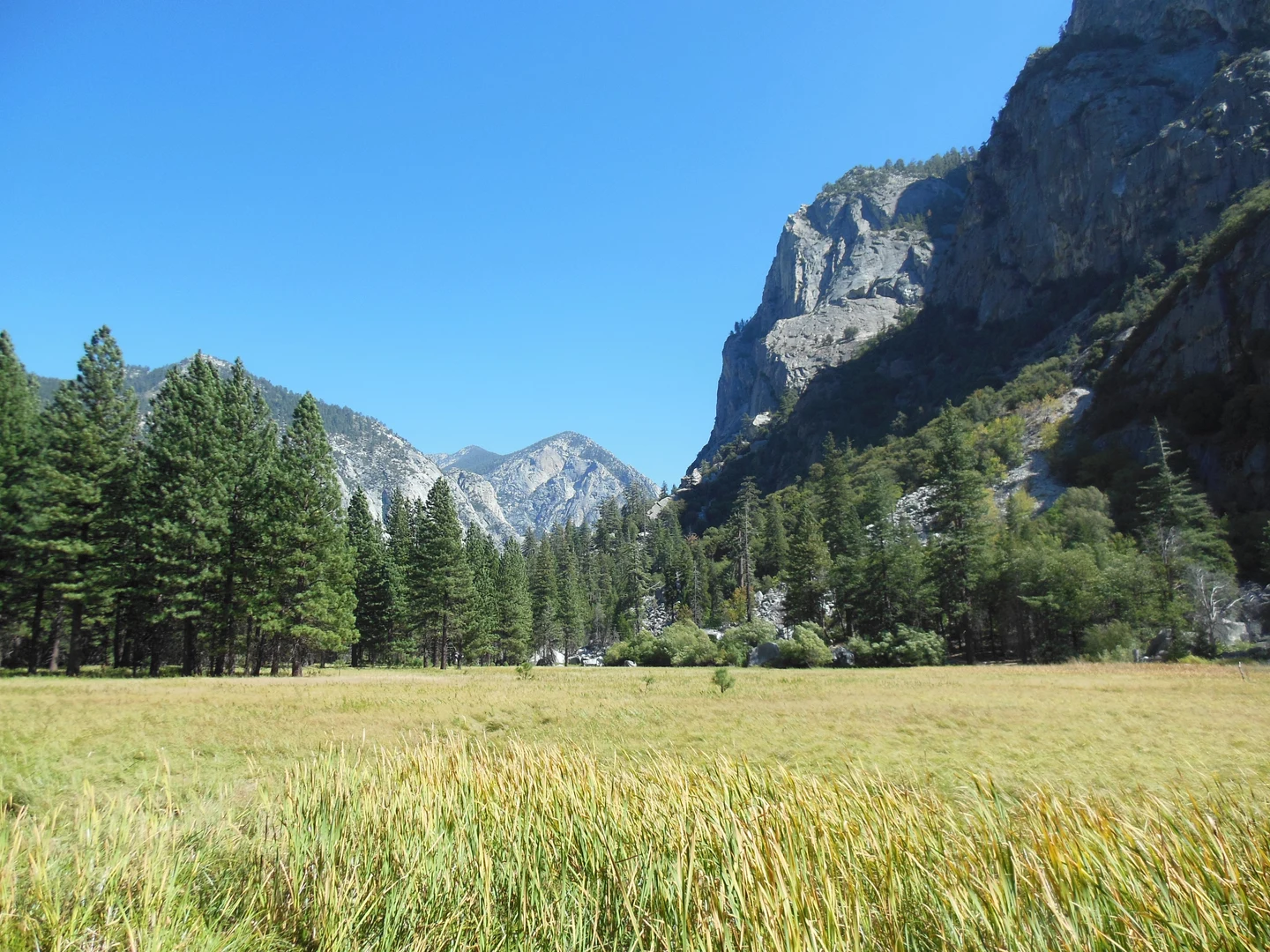 An image depicting the trail South Fork Kings River - Zumwalt Meadow to Roaring River Falls Trail and its surrounding area.