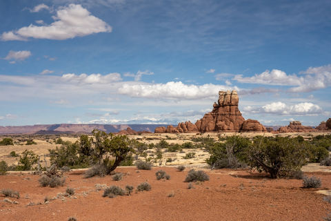 An image depicting the trail Lower Red Lake Canyon Trail and its surrounding area.