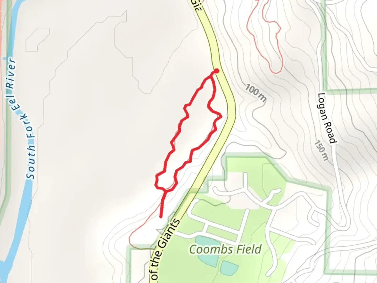 An image depicting the trail William Stephens Grove Loop and its surrounding area.