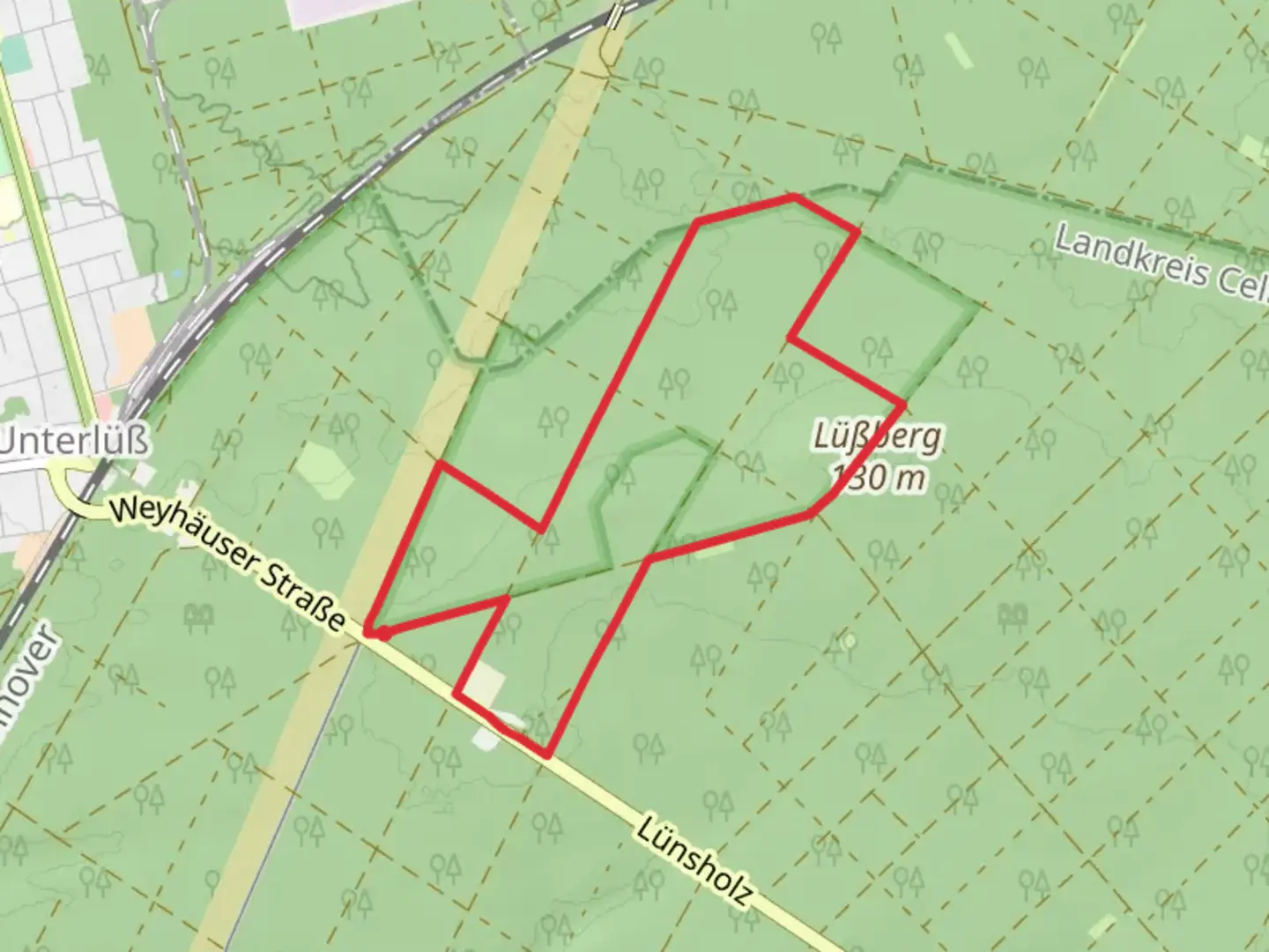 An image depicting the trail Suedheide Der Urwald im Luess W8K and its surrounding area.