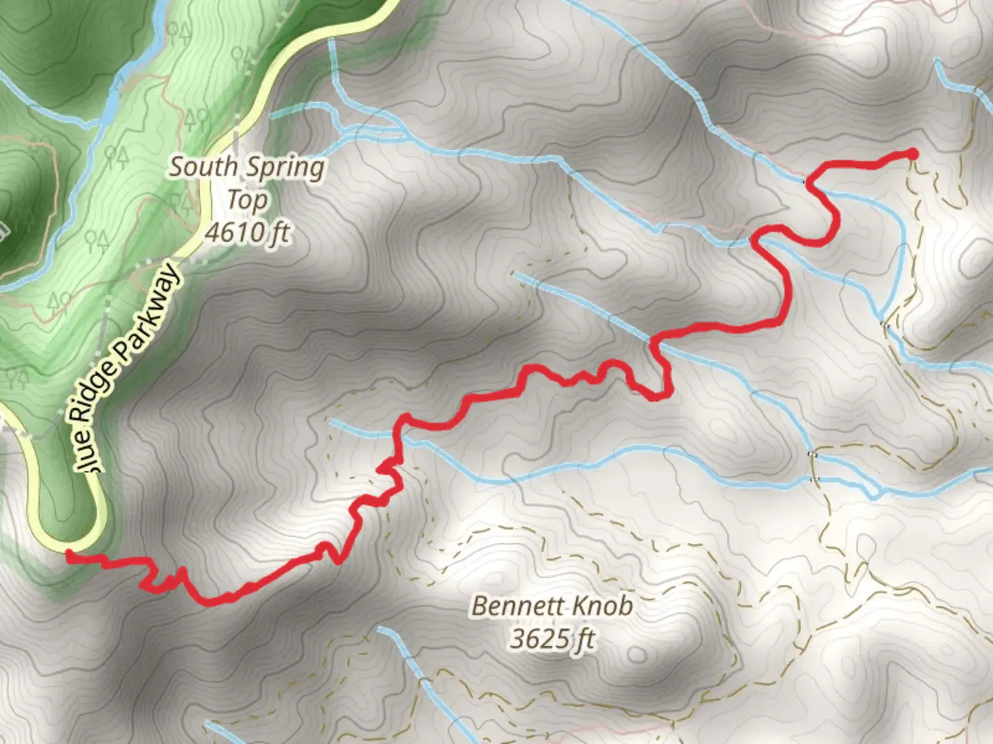 An image depicting the trail Log Hollow Branch and its surrounding area.