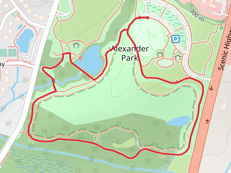 Alexander Park Loop