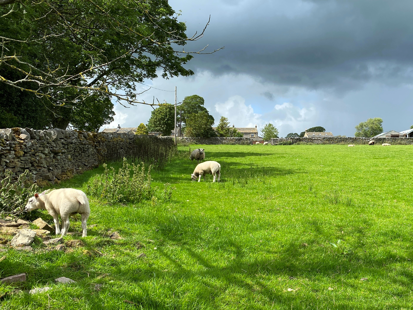 An image depicting the trail Farnhill Moor from Kildwick and its surrounding area.