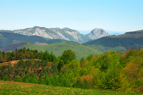 The Path of the Charcoal Burners PR-BI 82