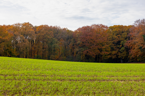 Leuth to Plasmolen via Wylerbergmeer, Duivelsberg and Ruine Romeinse Villa