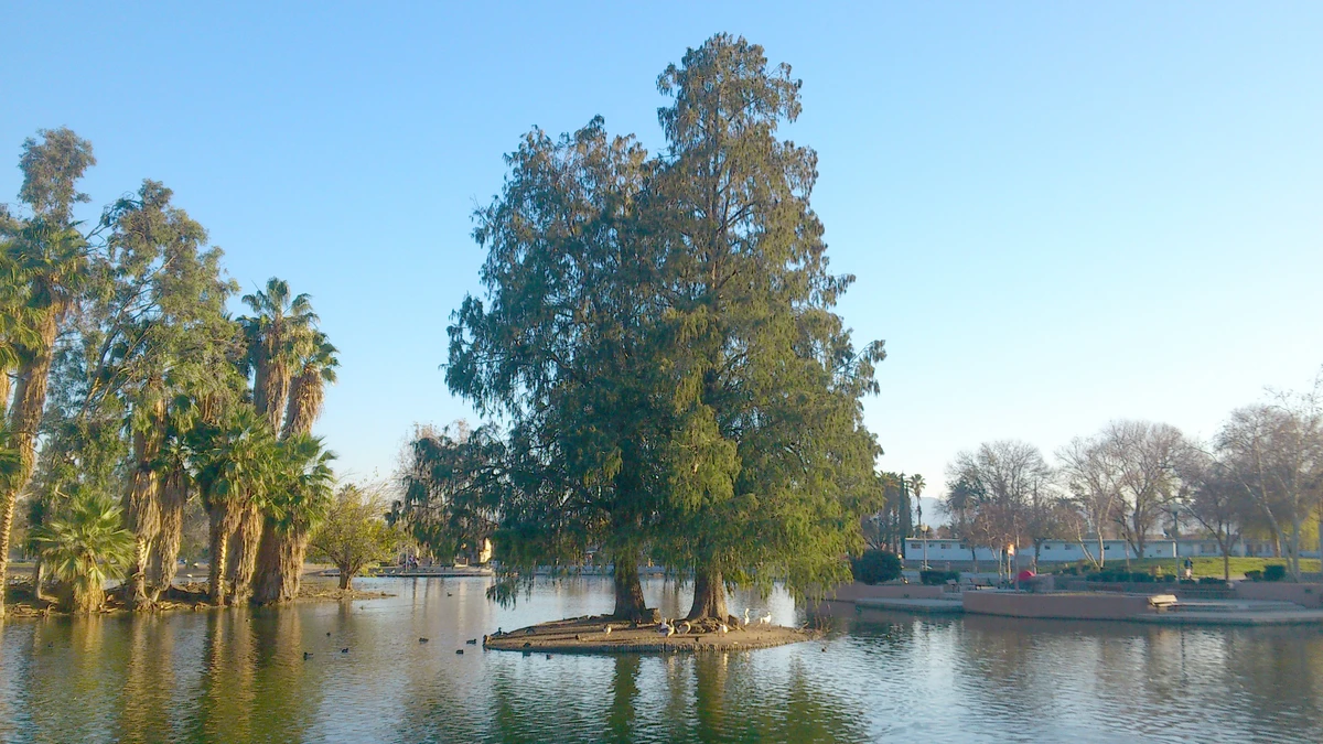Seccombe Lake Park Loop