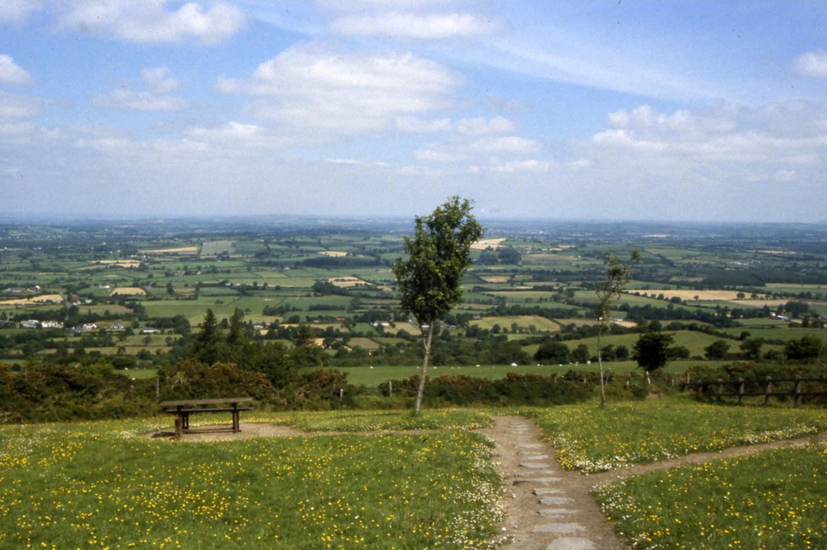 An image depicting the trail Silvermines Ridge Trail and its surrounding area.