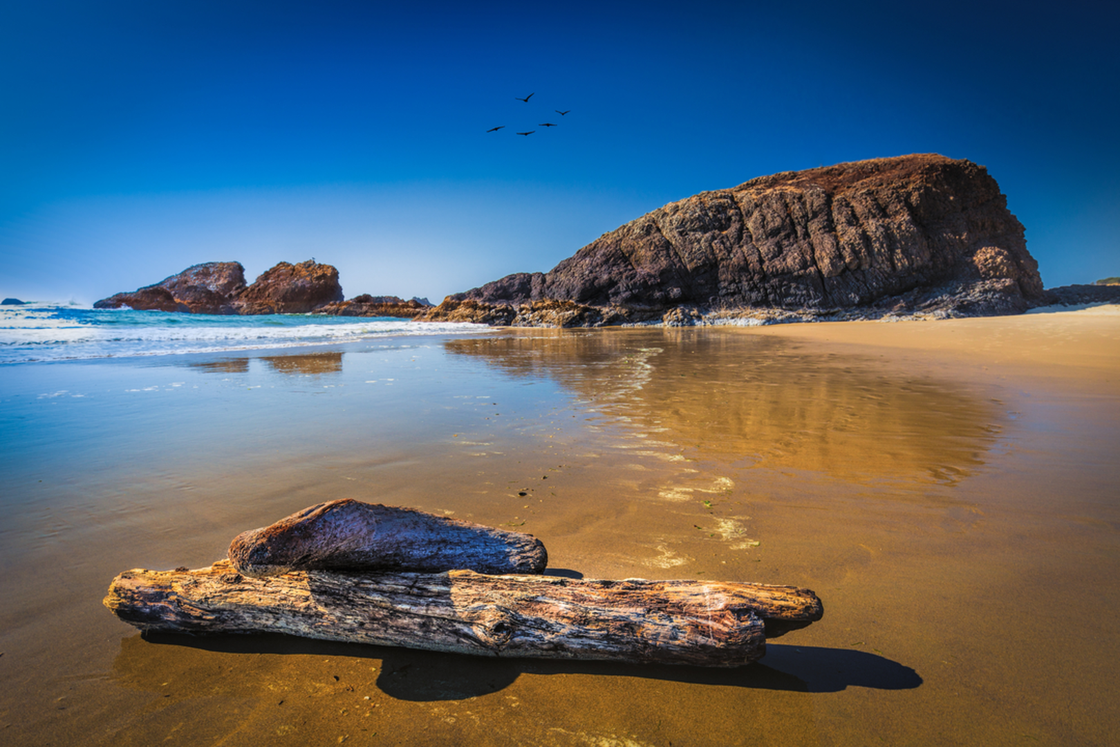 An image depicting the trail Seal Rock State Recreation Site Loop and its surrounding area.