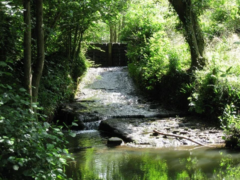 An image depicting the trail Lord's Wood Walk and its surrounding area.