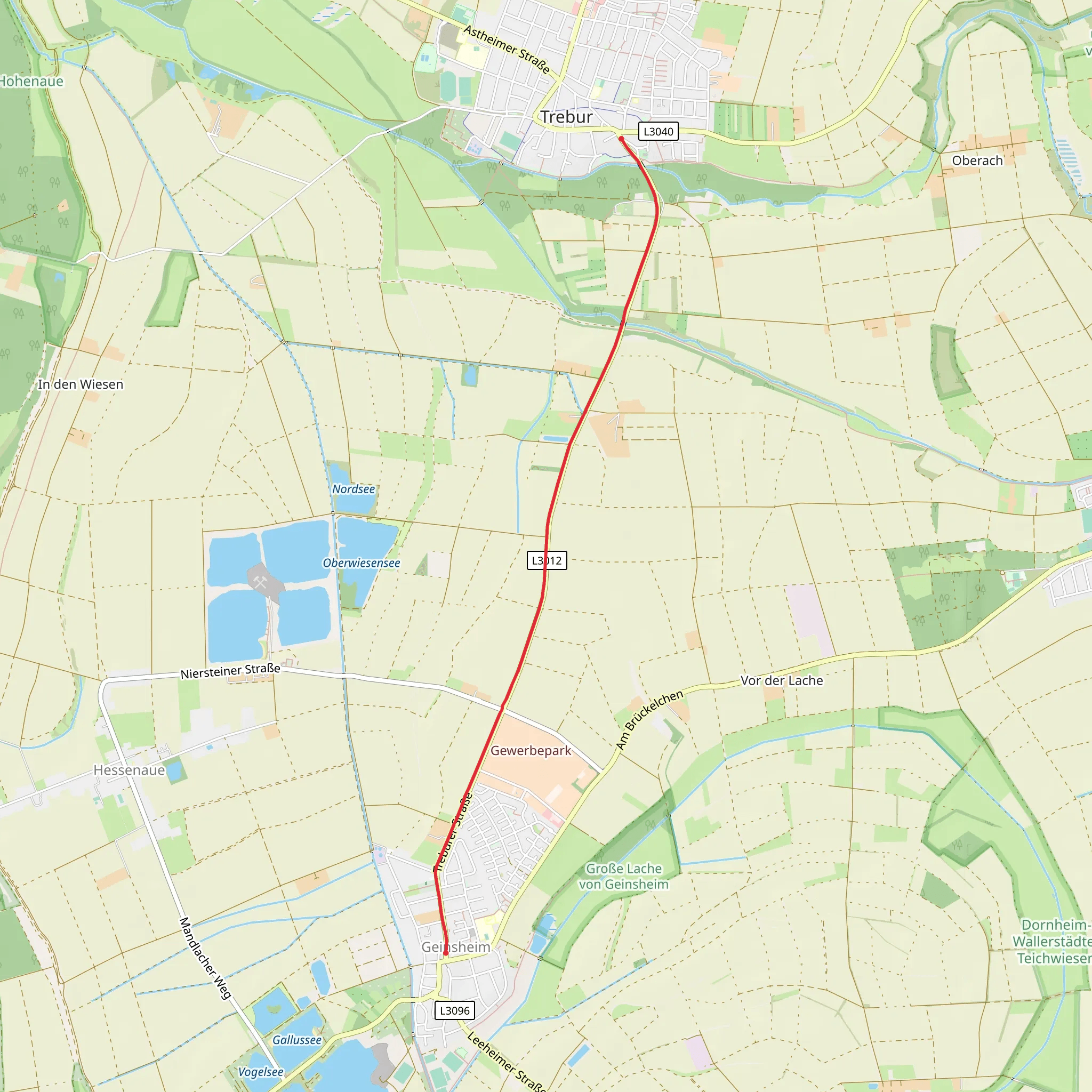 Trebur Walk mobile static map