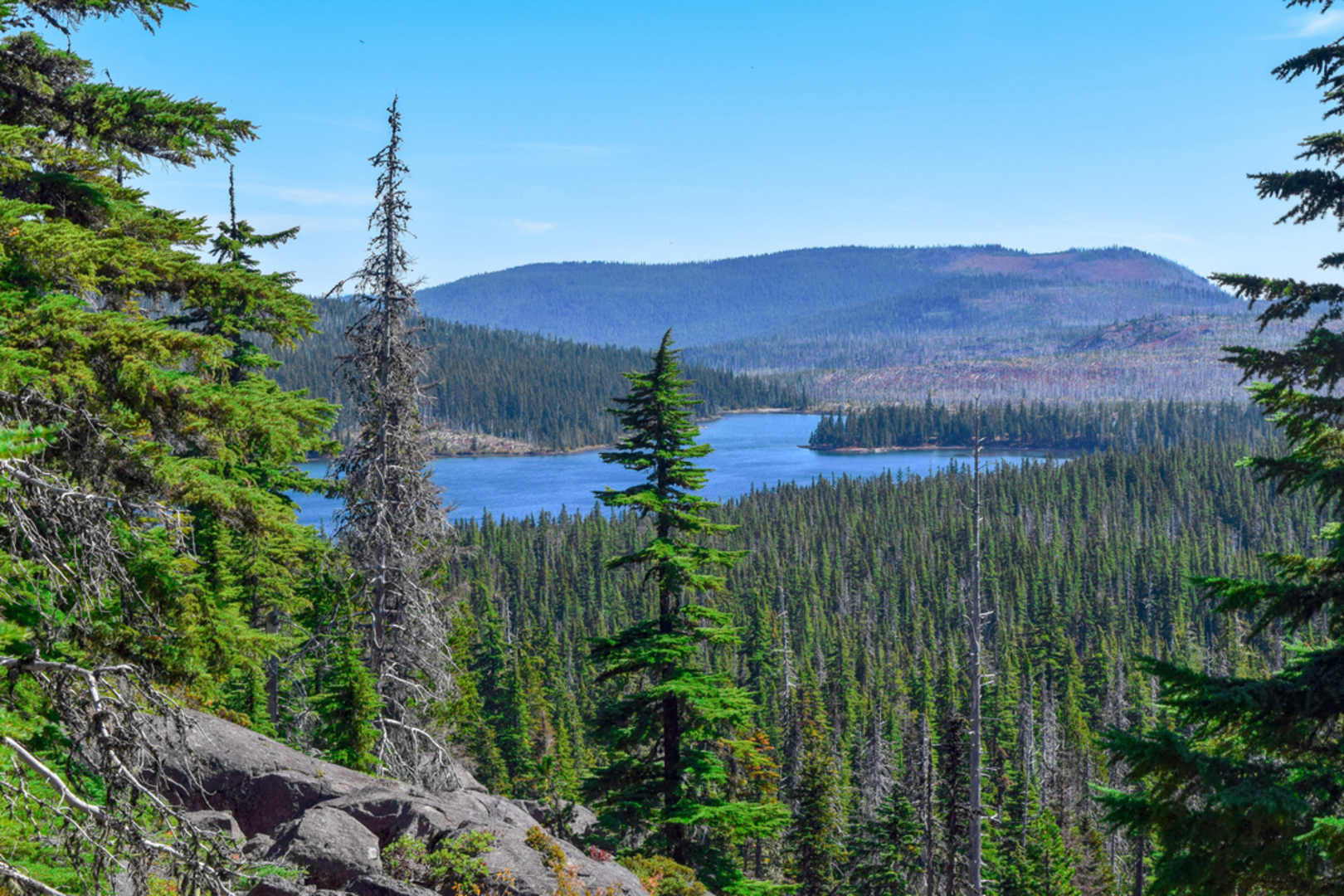 An image depicting the trail Timber Lake Trail and its surrounding area.
