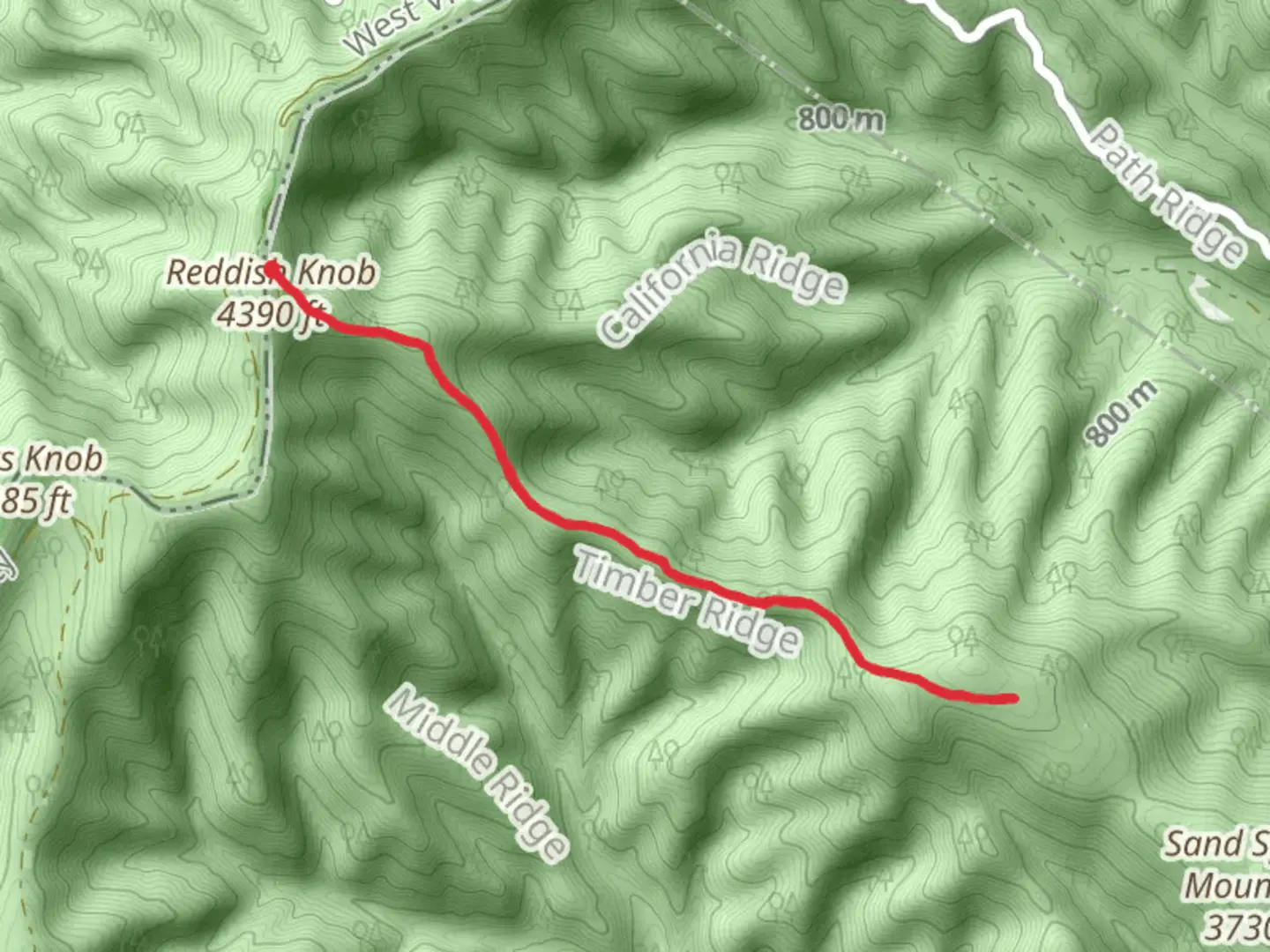 An image depicting the trail Timber Ridge Trail Out and Back and its surrounding area.