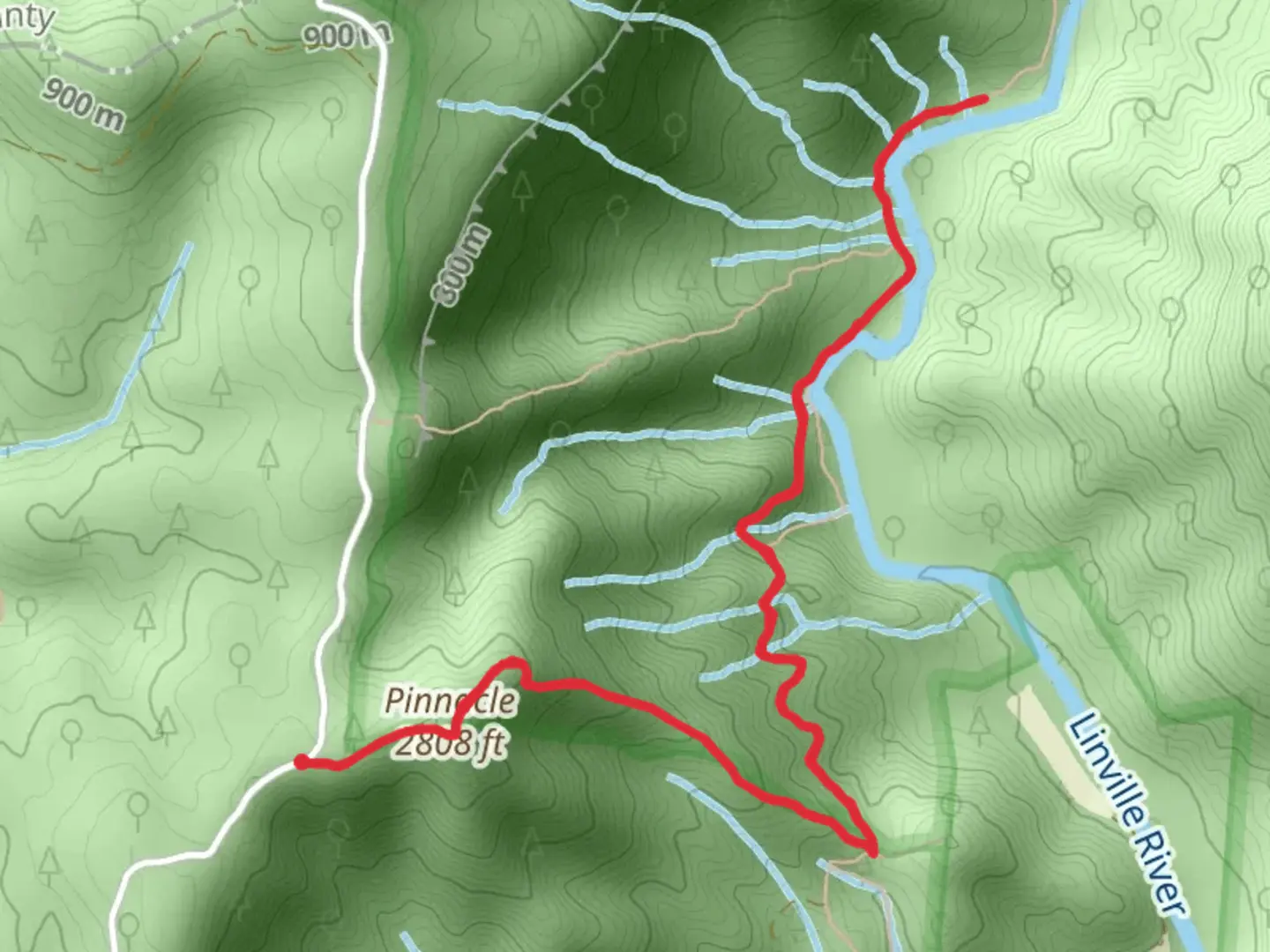 An image depicting the trail Pinnacle and Linville Gorge Trail and its surrounding area.