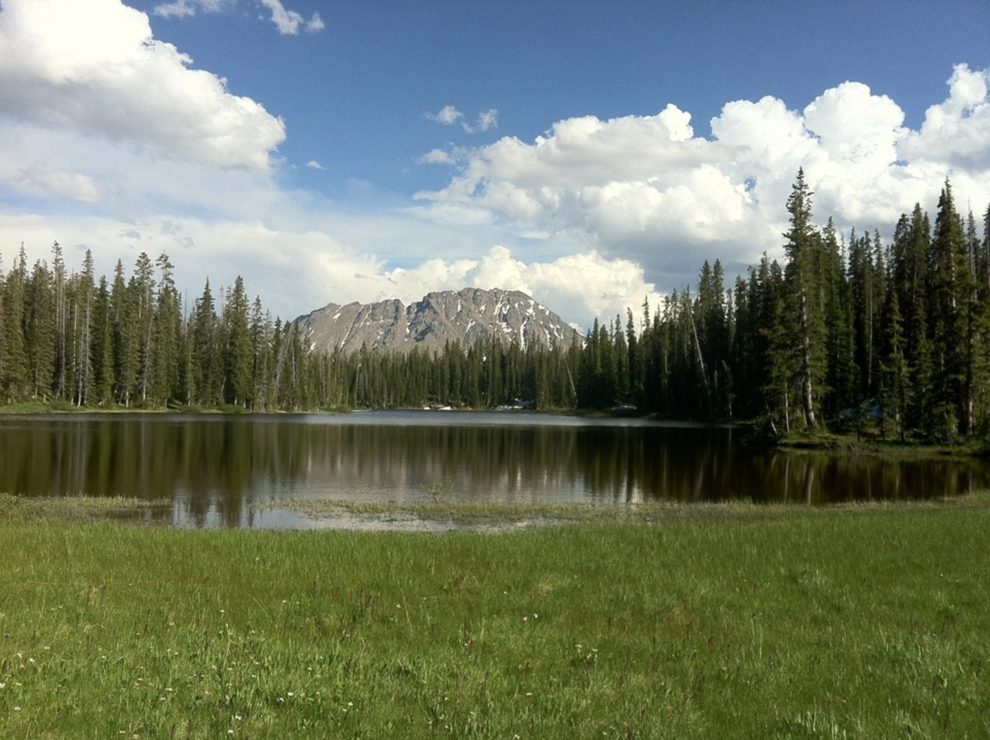 An image depicting the trail Mahan Lake Trail and its surrounding area.
