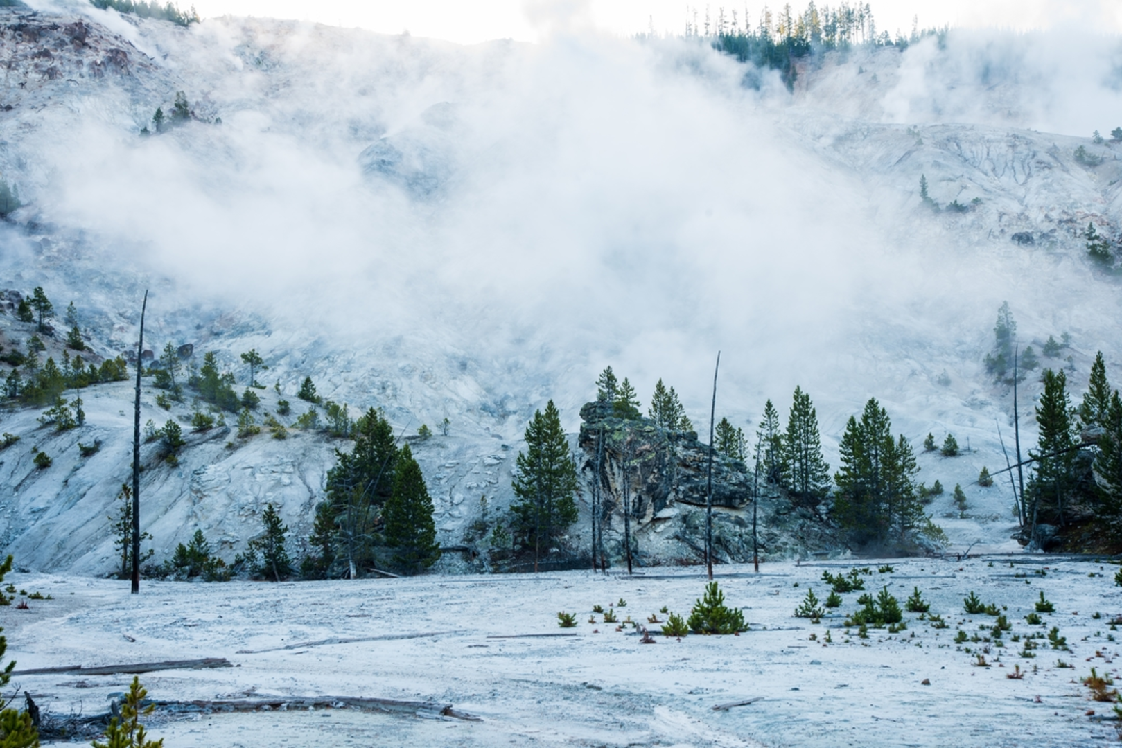 An image depicting the trail Solfatara Creek Trail and its surrounding area.