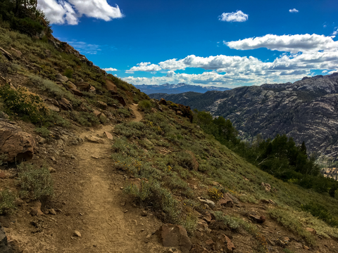 An image depicting the trail Agnew Wildflower Loop Trail and its surrounding area.