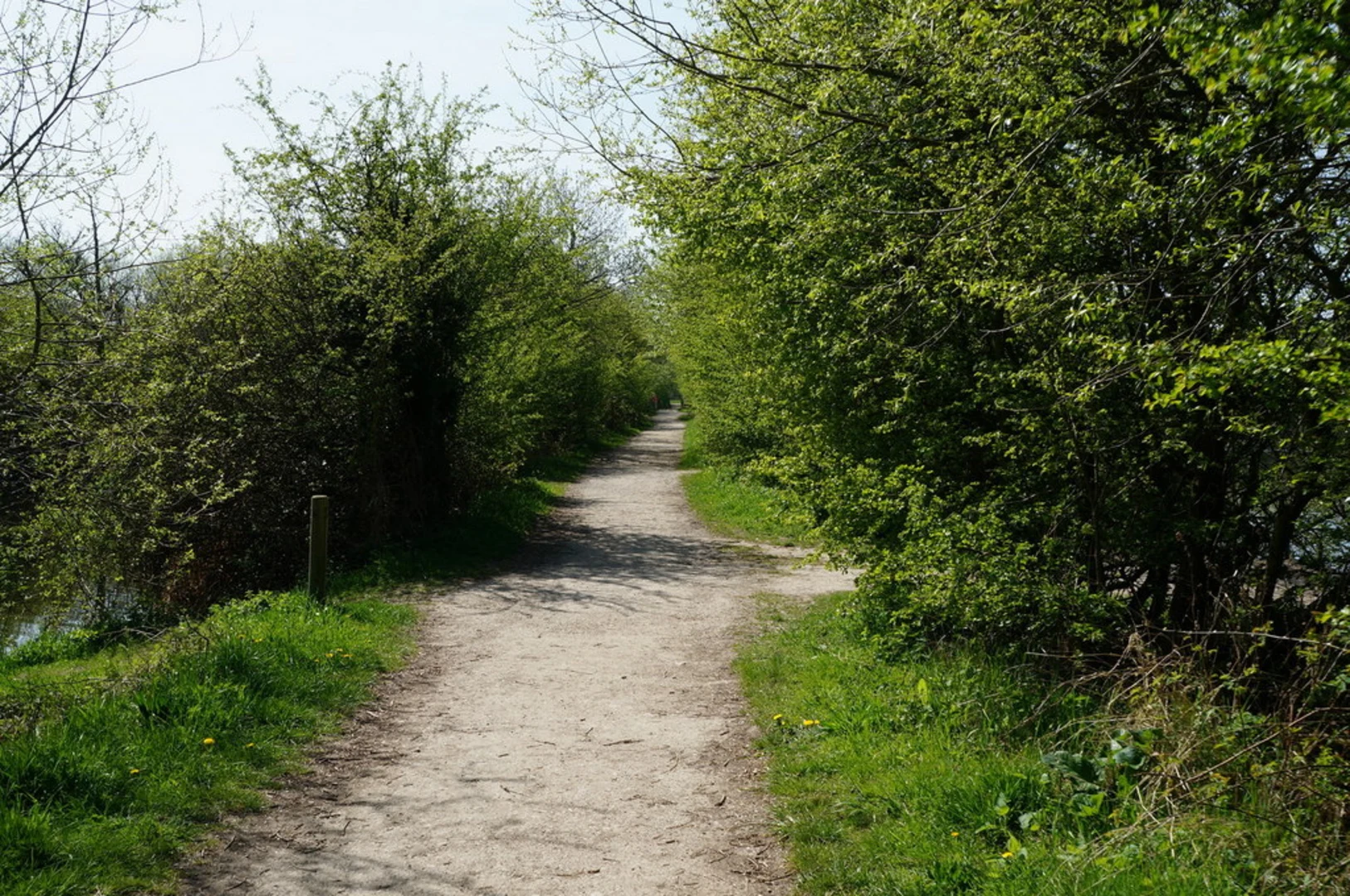 An image depicting the trail RSBP Fairburn Ings and Fairburn Ings Nature Reserve Loop and its surrounding area.
