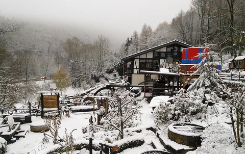 Ueber dir Kuckucksley