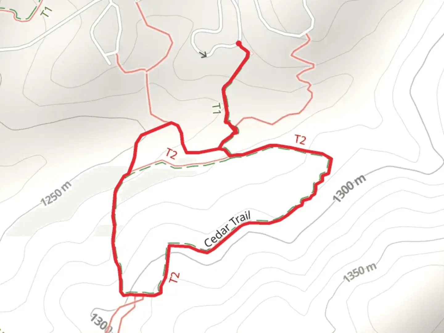 An image depicting the trail Cedar Loop Trail and its surrounding area.