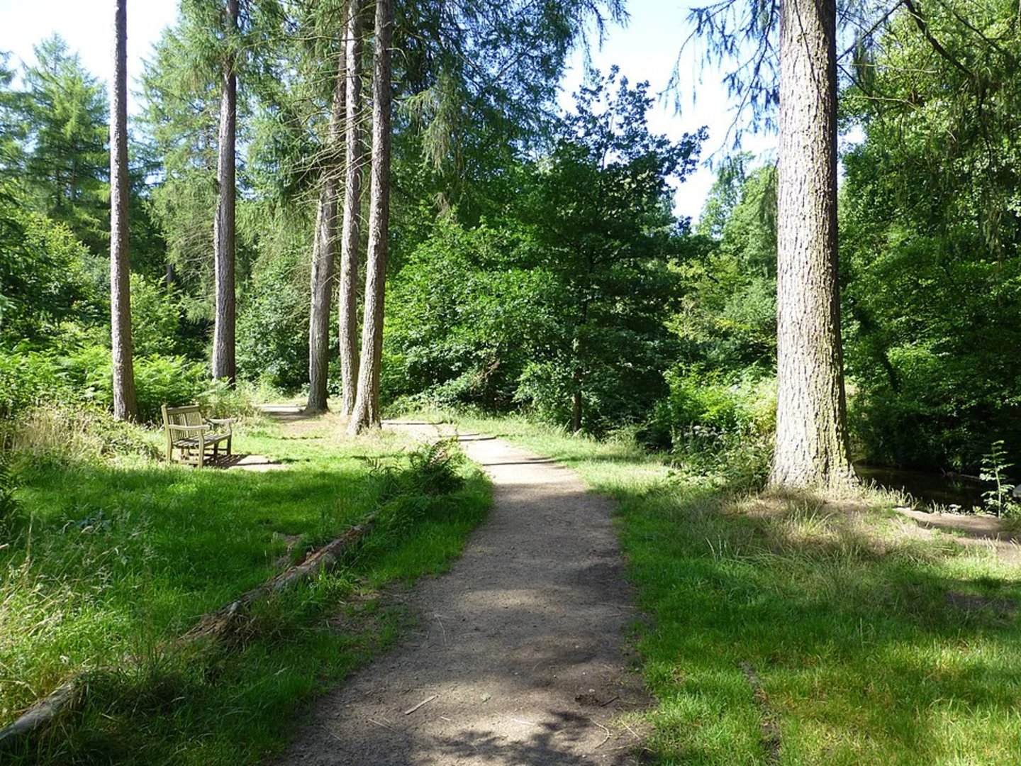 An image depicting the trail Northern Wood, Black Lake and Lindow Common Loop and its surrounding area.
