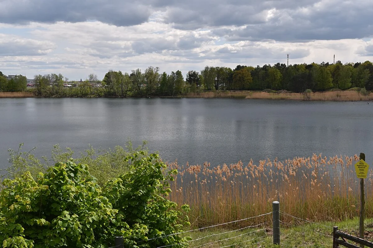 Tegel to Flughafensee Scenic Walk via Lake Tegel