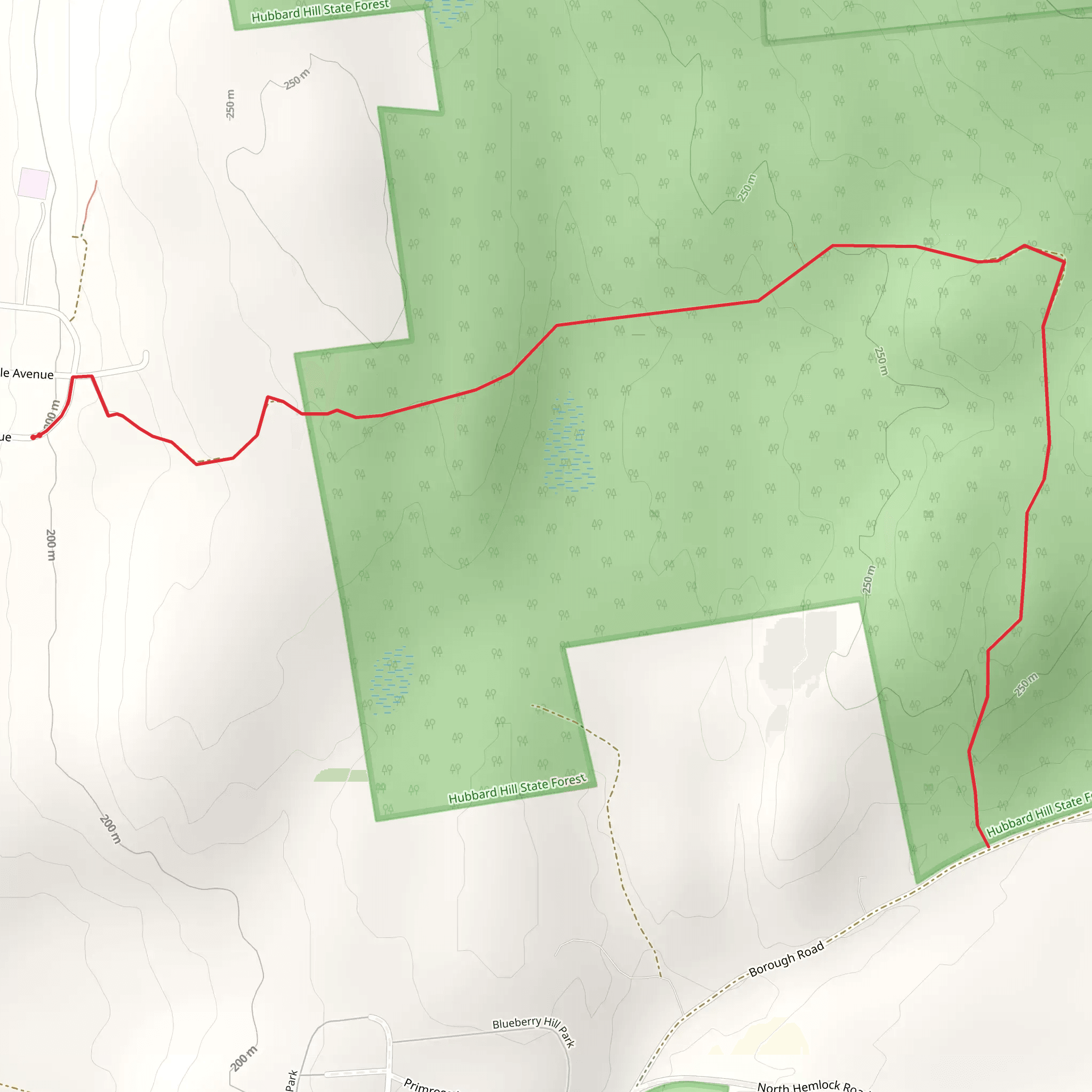 Charlestown Town Forest mobile static map