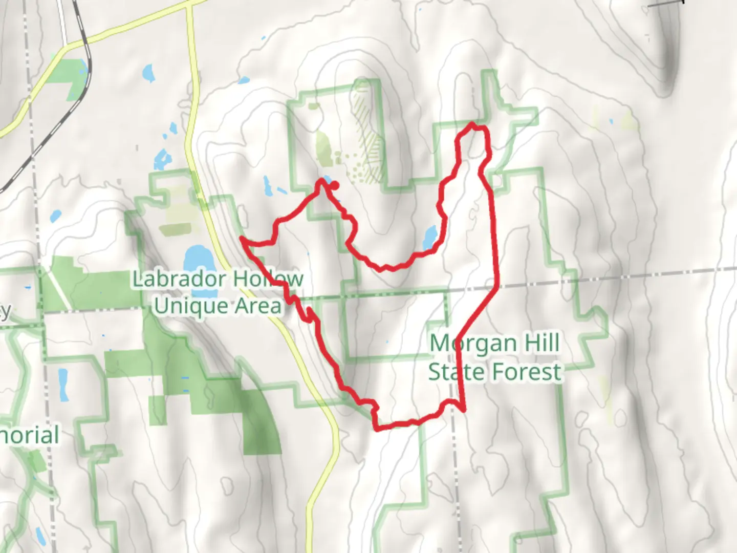An image depicting the trail Morgan Hill and Shackham Pond Loop and its surrounding area.
