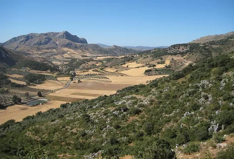 From the Morillas Forest PR A 268