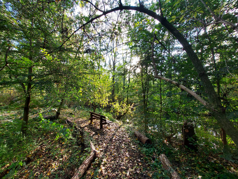 Heemtuin, De Schaapskooi and Olaertsduyn Loop
