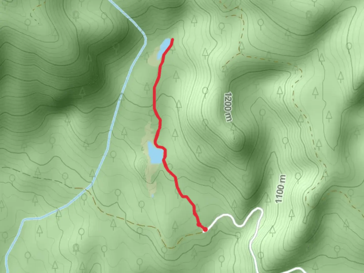An image depicting the trail Riggs Lake Trail and its surrounding area.