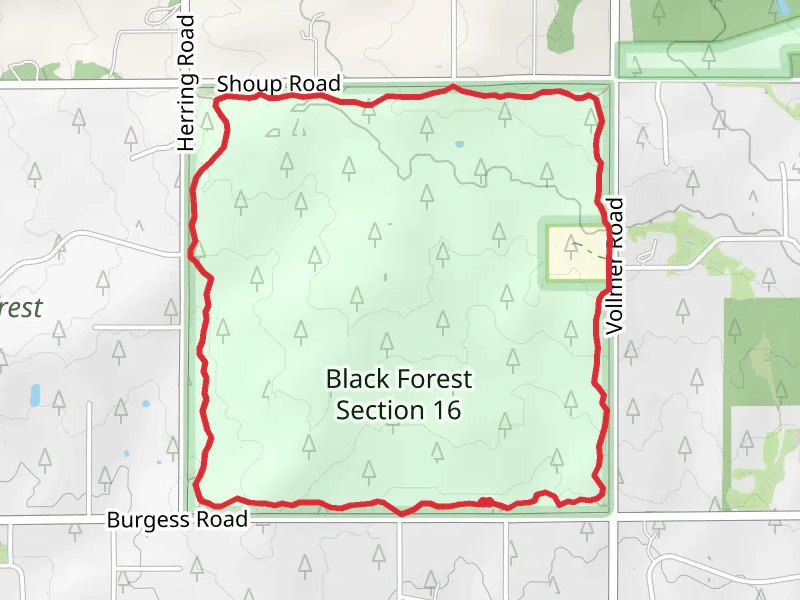 Black Forest Section 16 Loop