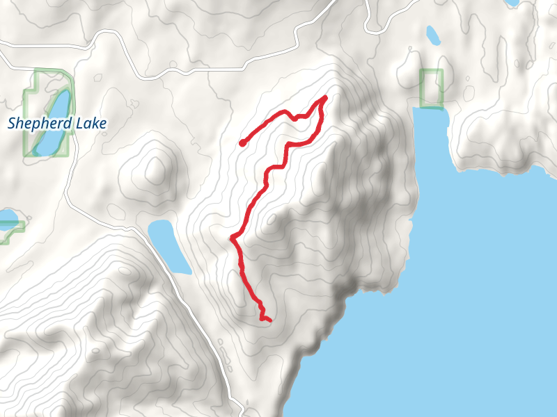 Grouse Mountain Trail Out and Back