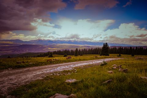 An image depicting the trail Turkey Creek Trail and its surrounding area.