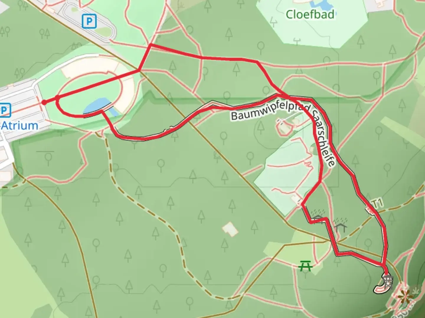 An image depicting the trail Baumwipfelpfad and Aussichtsturm via Cloepfad and its surrounding area.