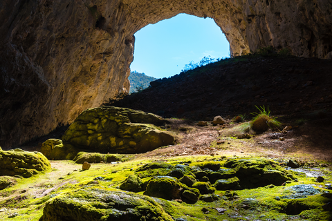 An image depicting the trail Castle Cave Walk and its surrounding area.
