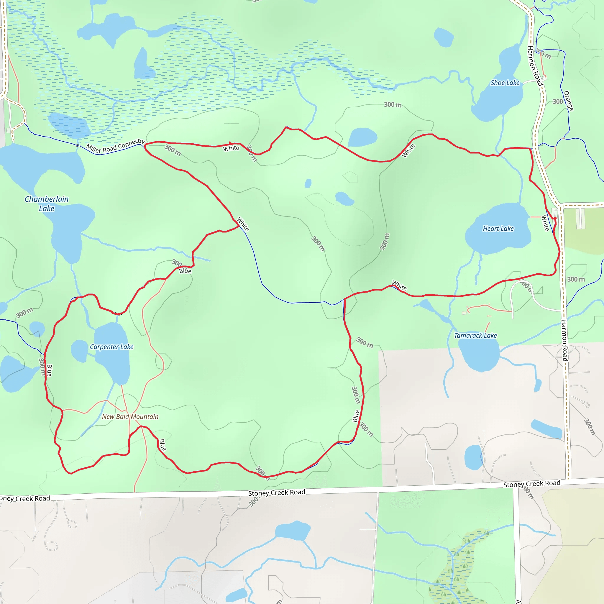 Heart Lake and Carpenter Lake Loop via White Trail mobile static map