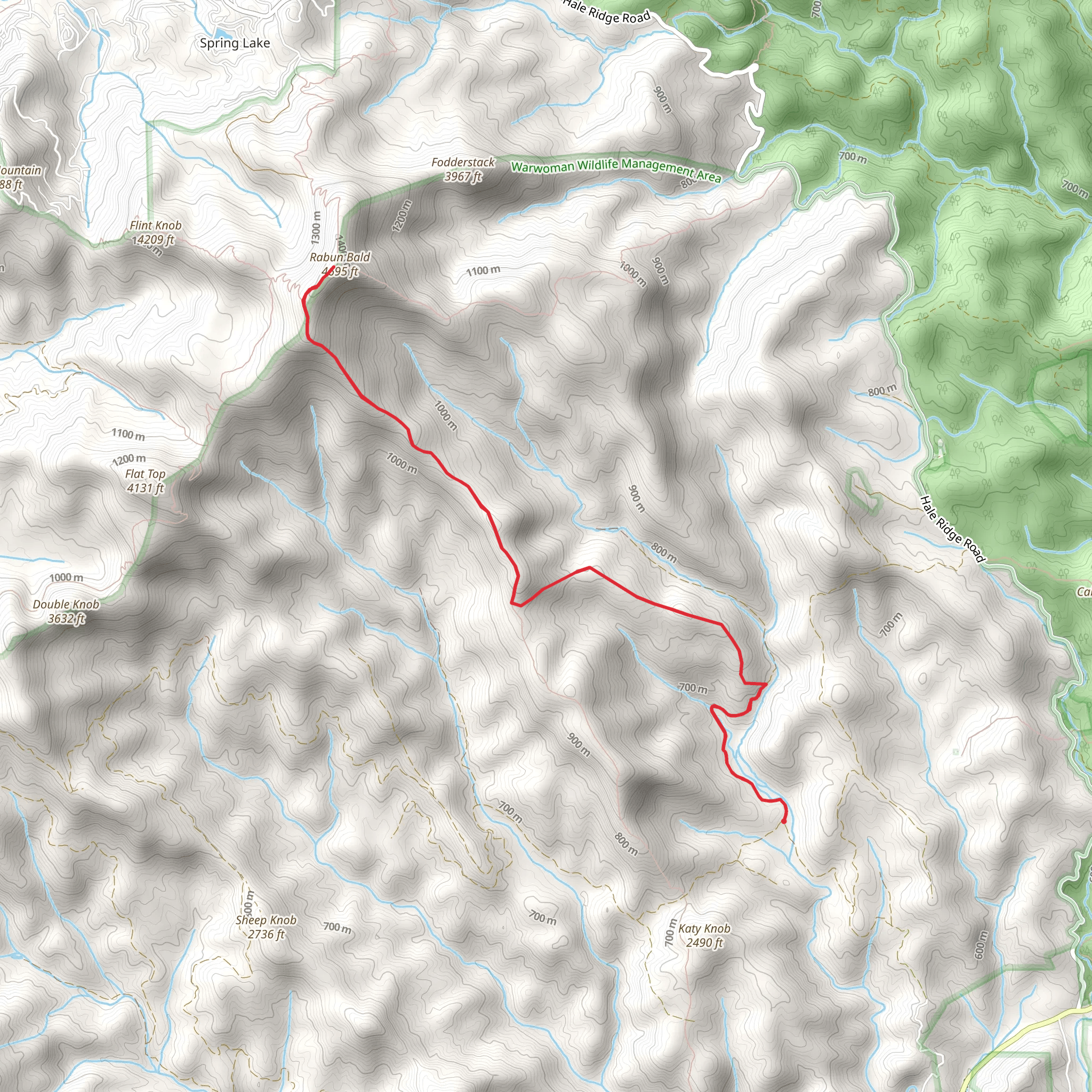 Rabun Bald via Sarahs Creek Road mobile static map