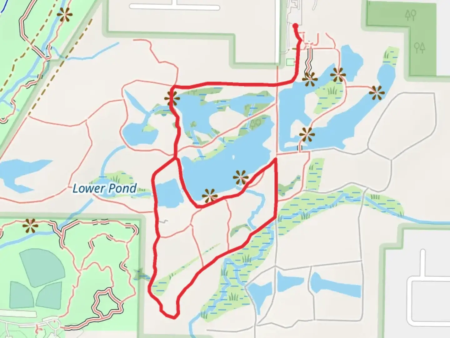 An image depicting the trail Flattail Lake via Beech Tree Trail and its surrounding area.