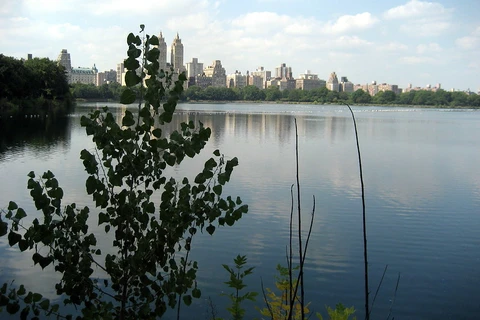 Jacqueline Kennedy Onassis Reservoir Loop