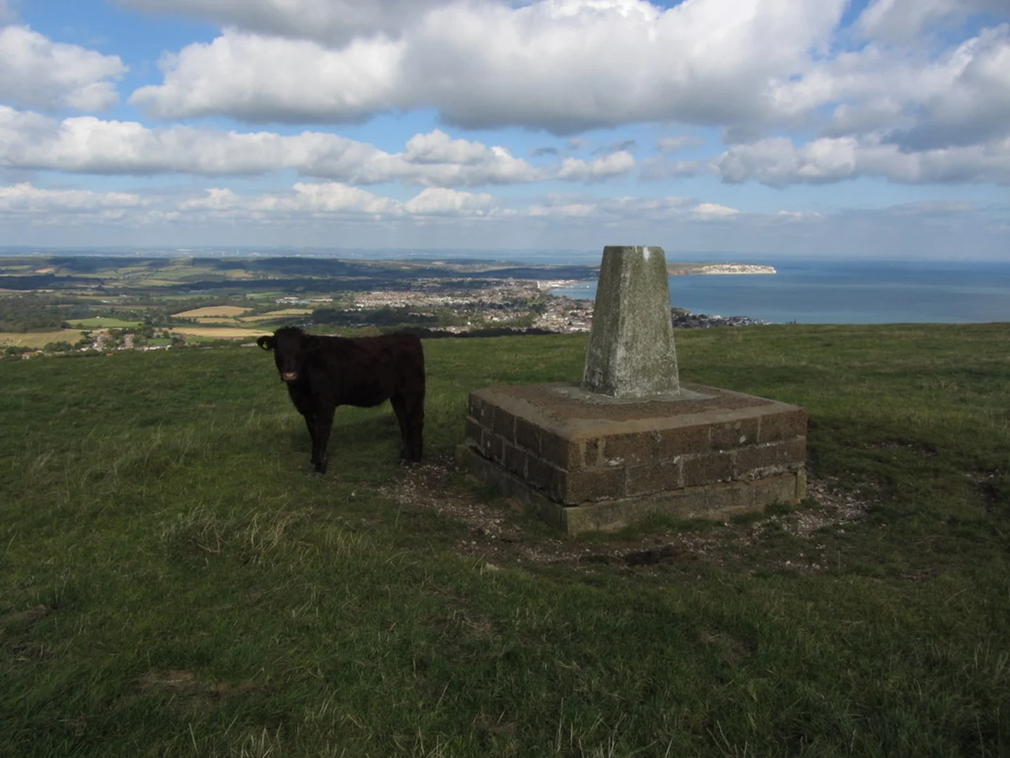 An image depicting the trail Big Meade, Greatwood Copse and The Landslip Loop and its surrounding area.