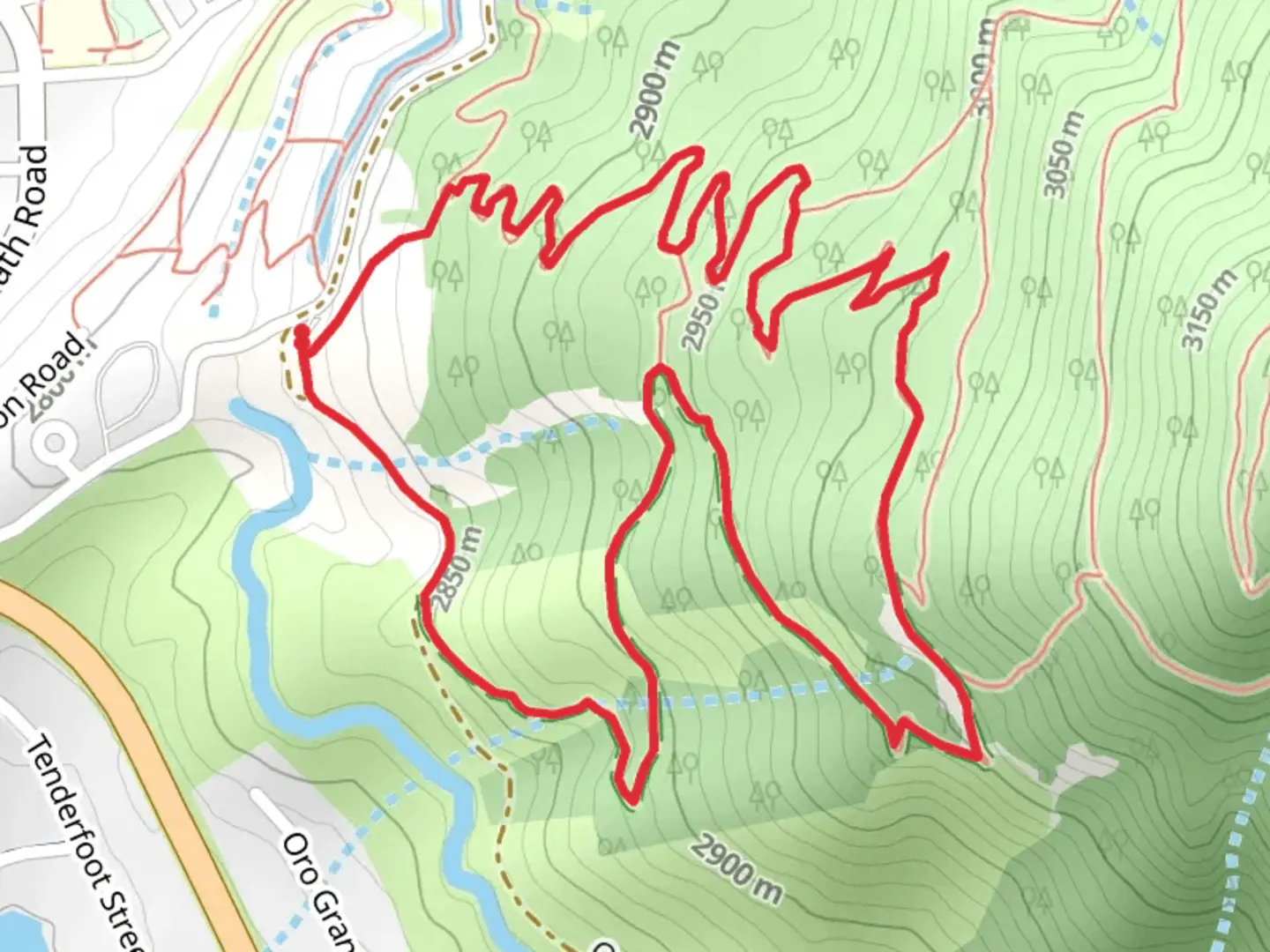 An image depicting the trail Tenderfoot Mountain and Upper Loop Trail and its surrounding area.