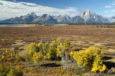 An image depicting the trail Lunch Tree Hill Trail and its surrounding area.
