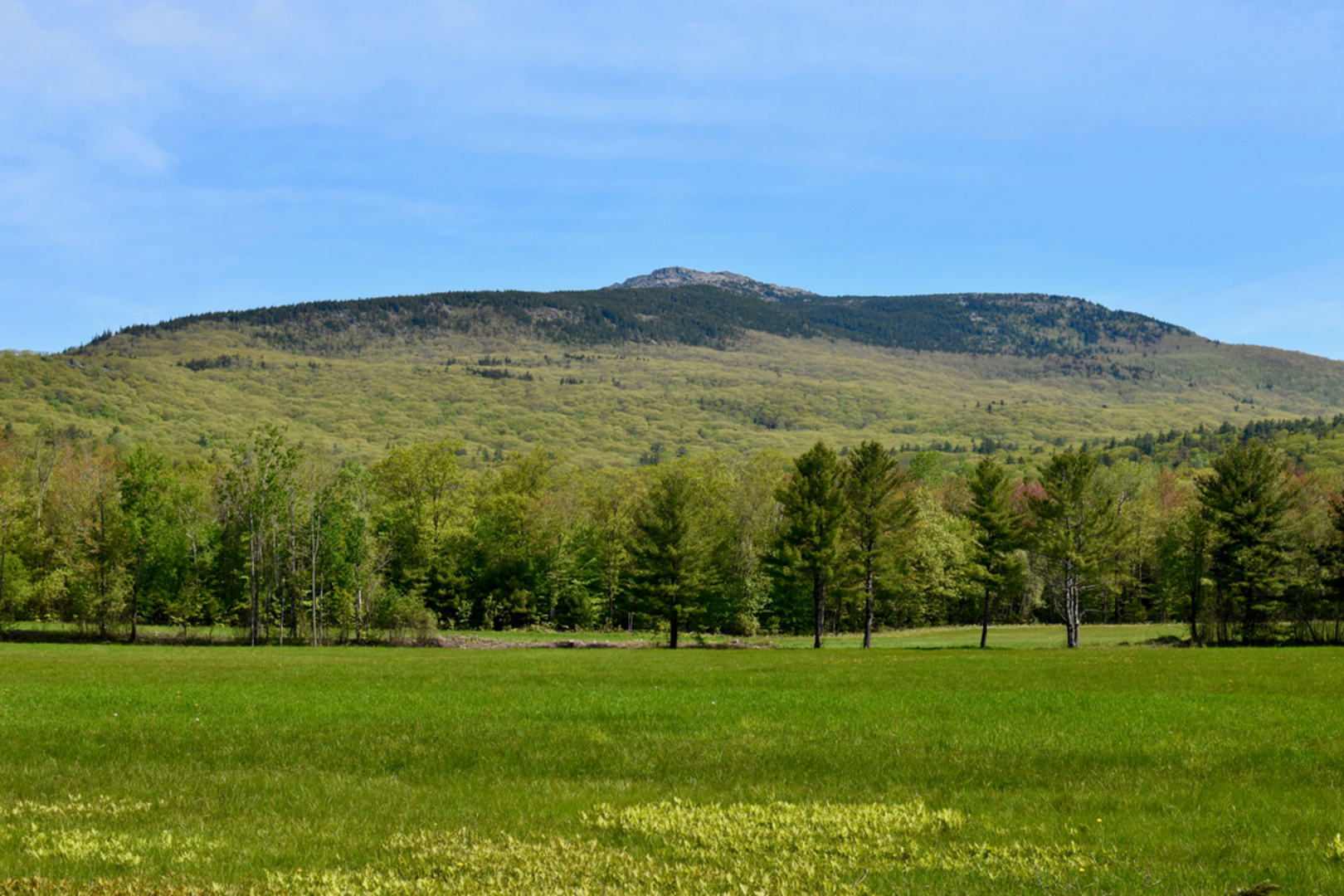 An image depicting the trail Pumpelly Trail and Harling Trail Loop via Mount Monadnock and its surrounding area.