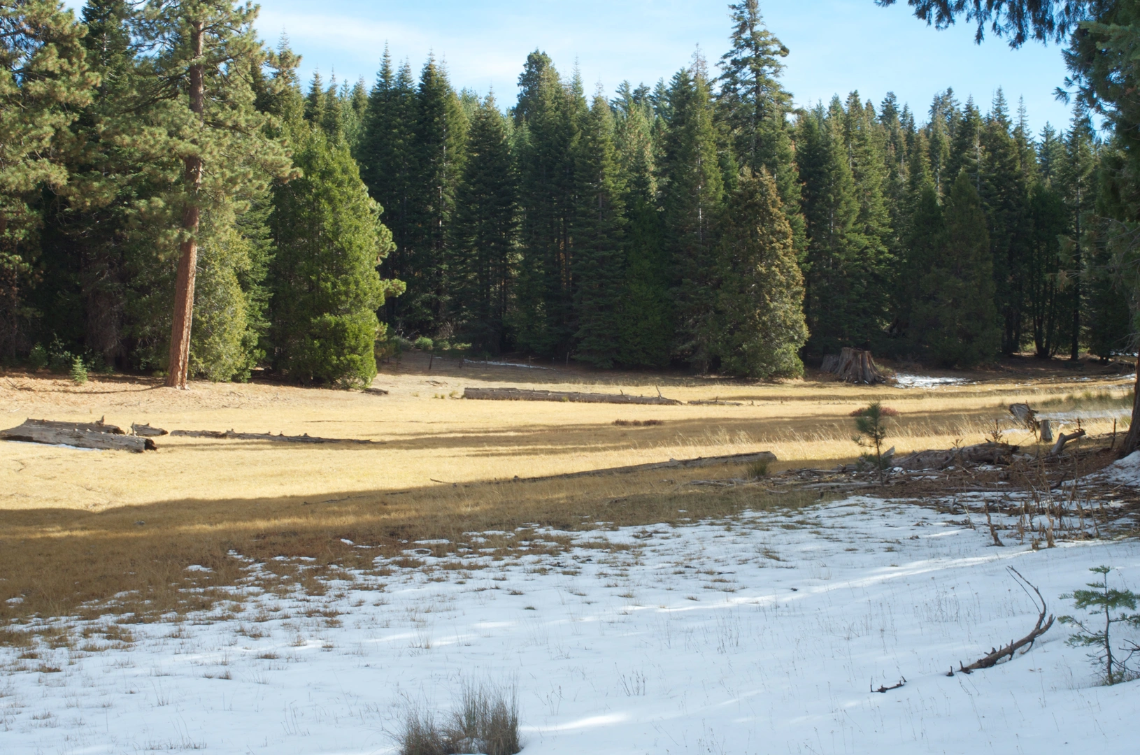 An image depicting the trail Boole Tree Loop Trail and its surrounding area.