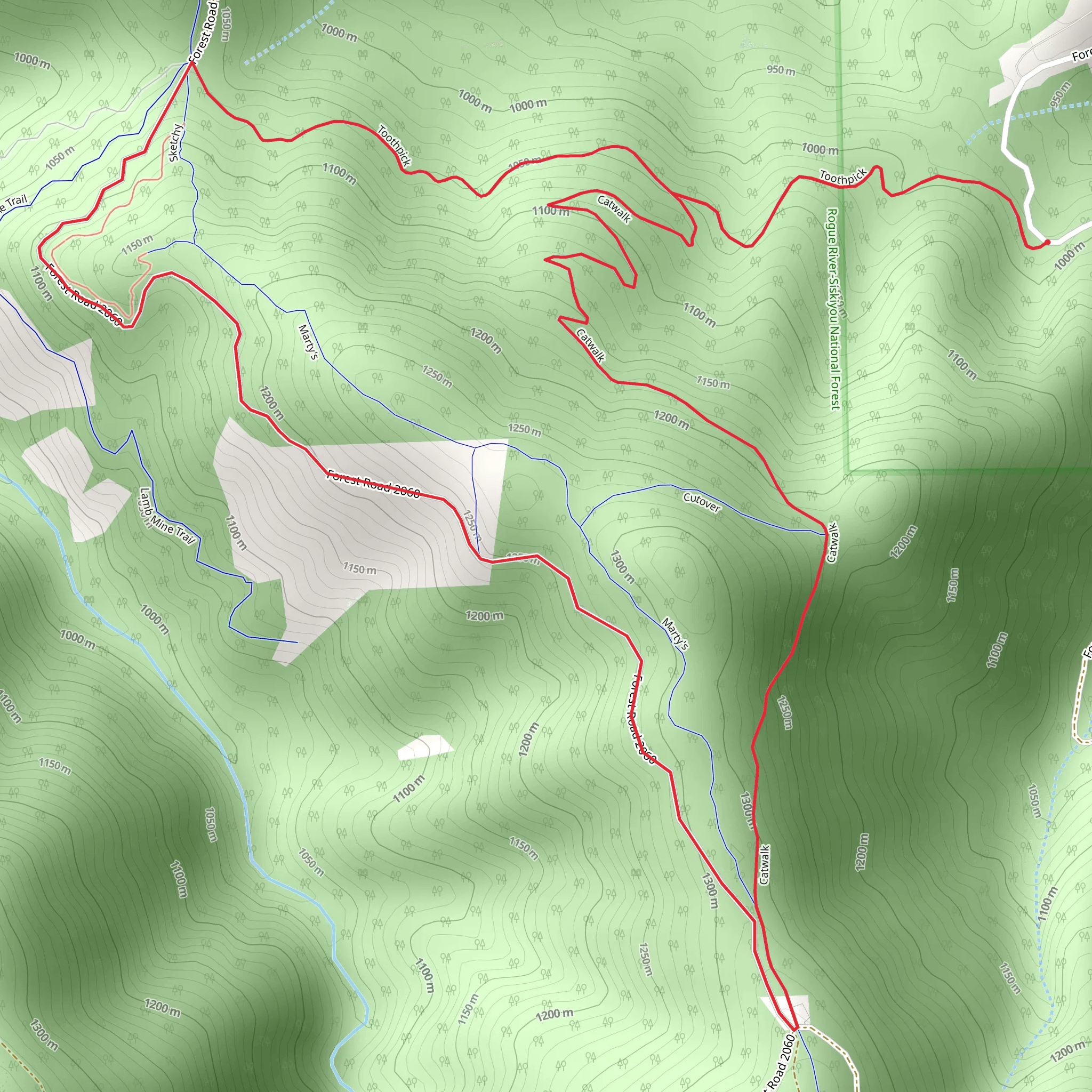 Toothpick, Coggins Saddle and Catwalk Loop Trail mobile static map