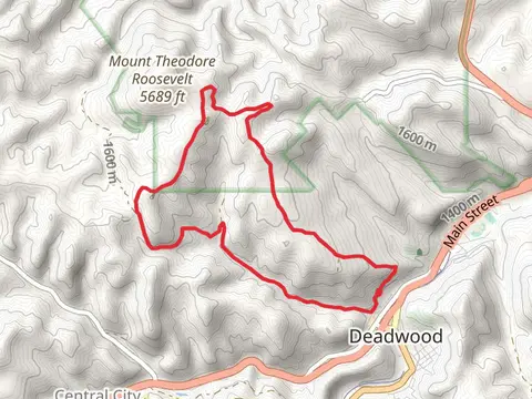 Mount Theodore Roosevelt Easrrtside Loop